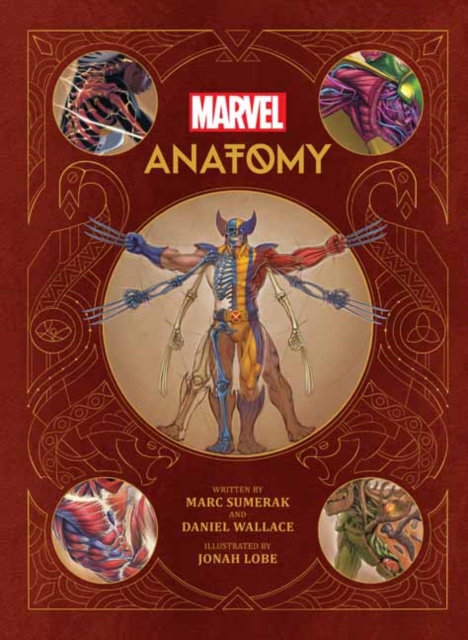 Marvel Anotomy