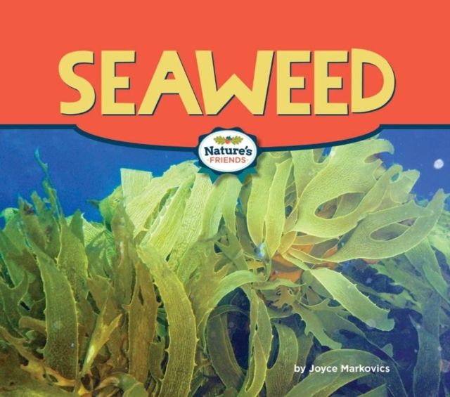 Seaweed