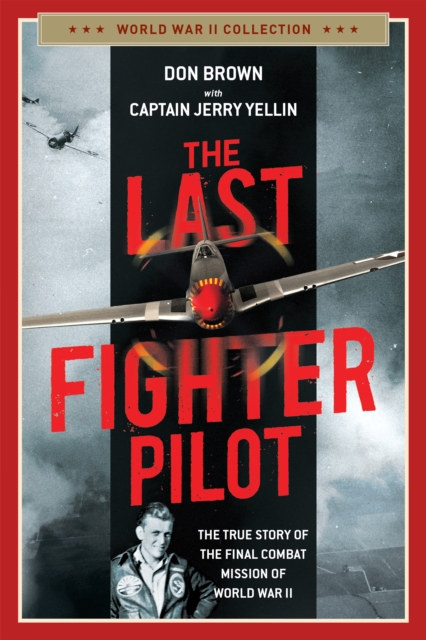 Last Fighter Pilot