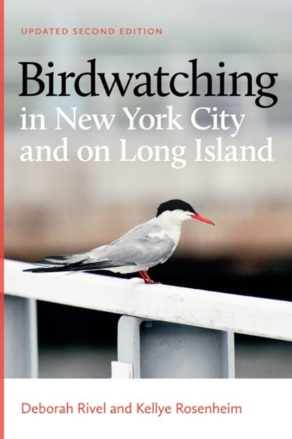 Birdwatching in New York City and on Long Island