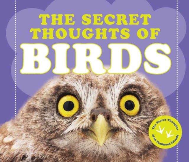 Secret Thoughts of Birds