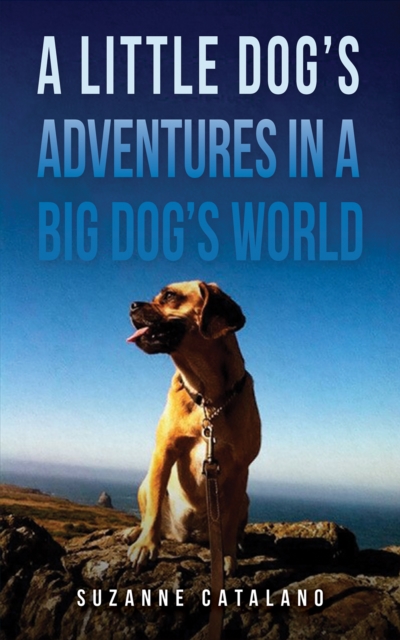 Little Dog's Adventures in a Big Dog's World