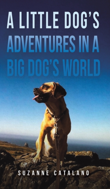 Little Dog's Adventures in a Big Dog's World