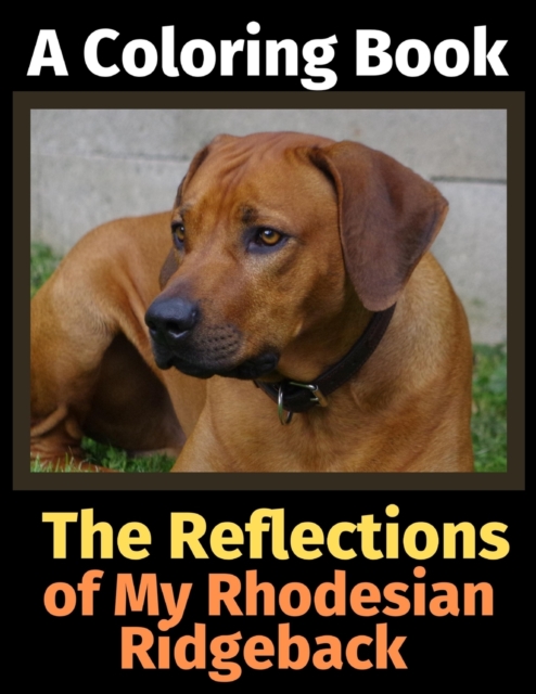 Reflections of My Rhodesian Ridgeback