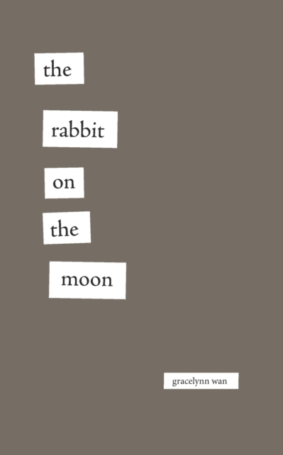 Rabbit on the Moon