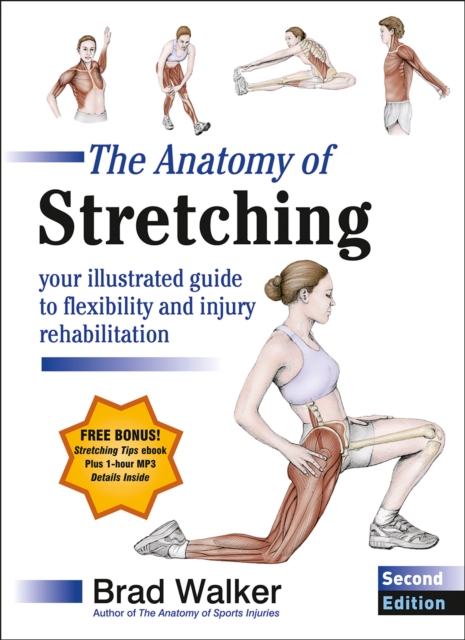 Anatomy of Stretching