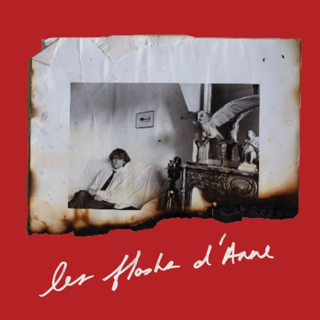 Anne Day: Les Flashes D'Anne