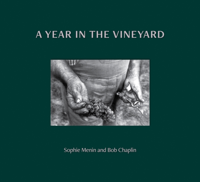 Year in the Vineyard