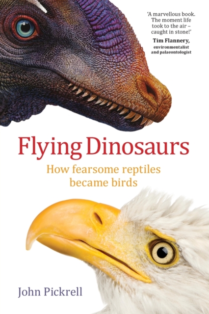 Flying Dinosaurs