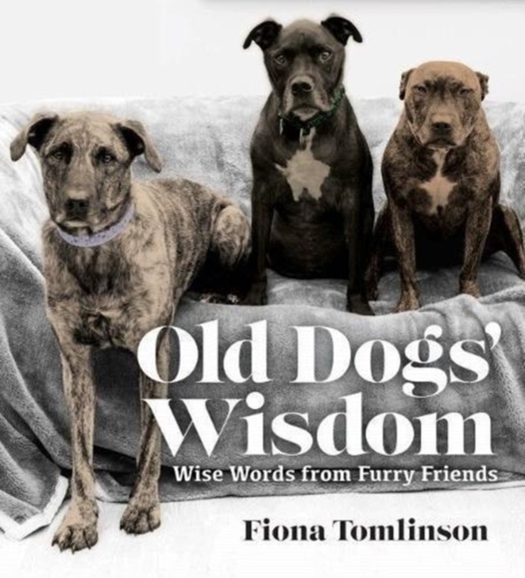 Old Dogs' Wisom