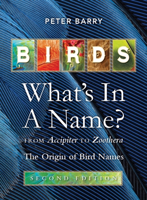 Birds: What's in a Name