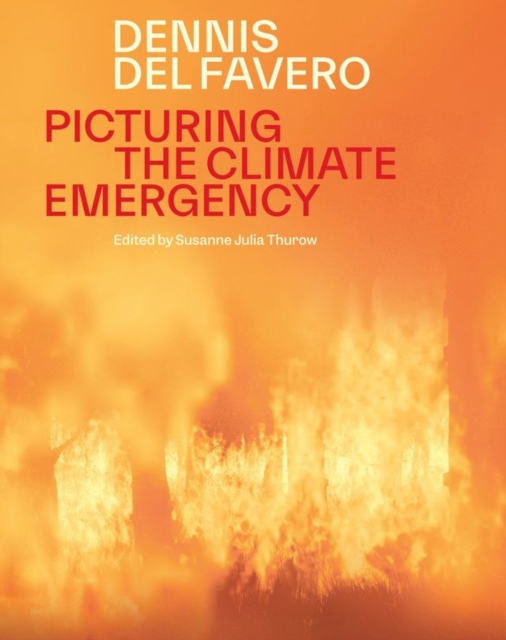 Picturing the Climate Emergency