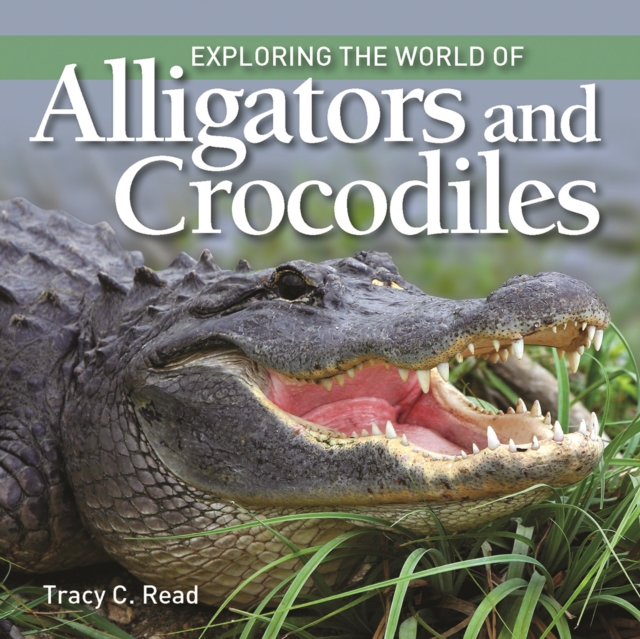 Exploring the World of Alligators and Crocodiles