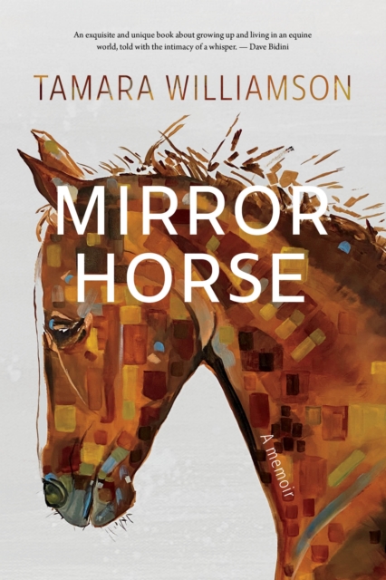 Mirror Horse