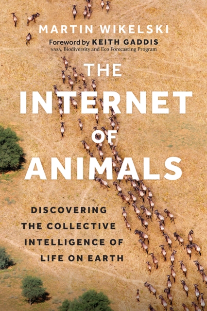 Internet of Animals