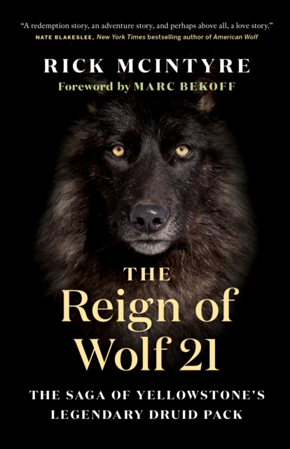 The Reign of Wolf 21