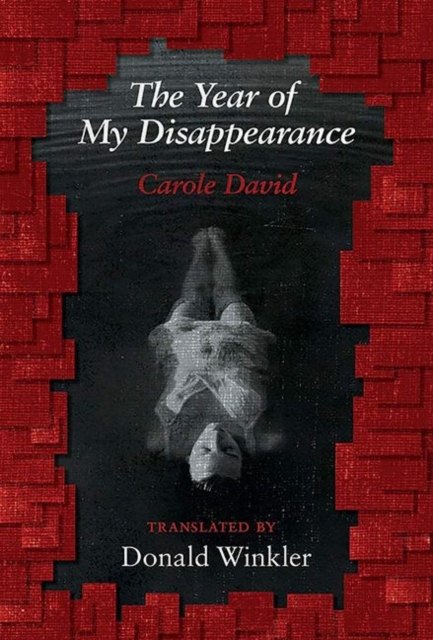 Year of My Disappearance