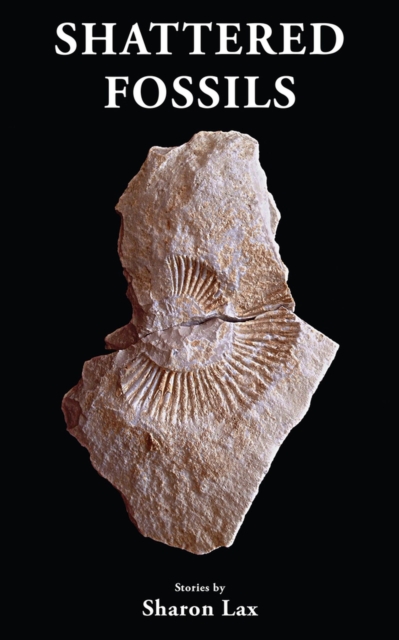 Shattered Fossils Volume 179