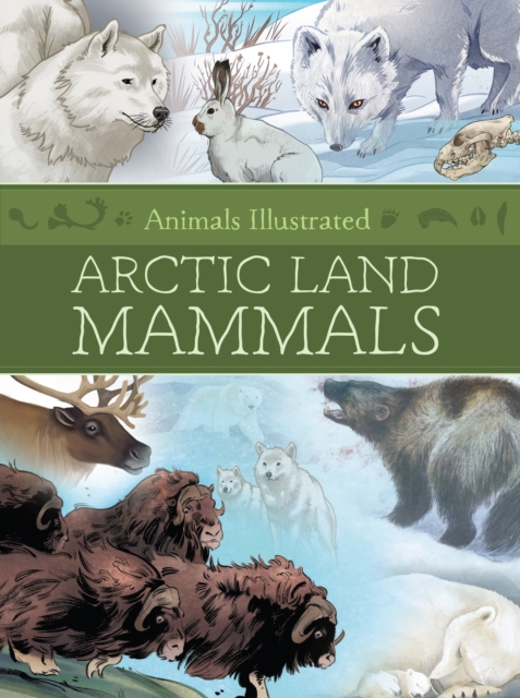 Animals Illustrated: Arctic Land Mammals
