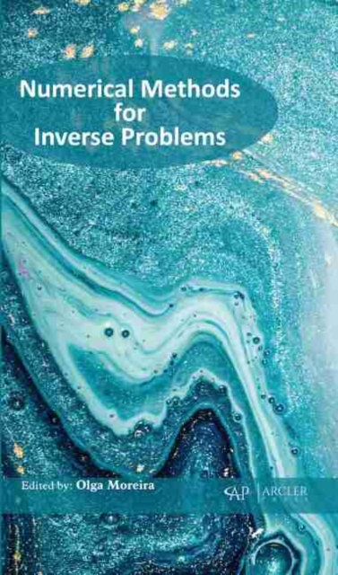 Numerical Methods for Inverse Problems