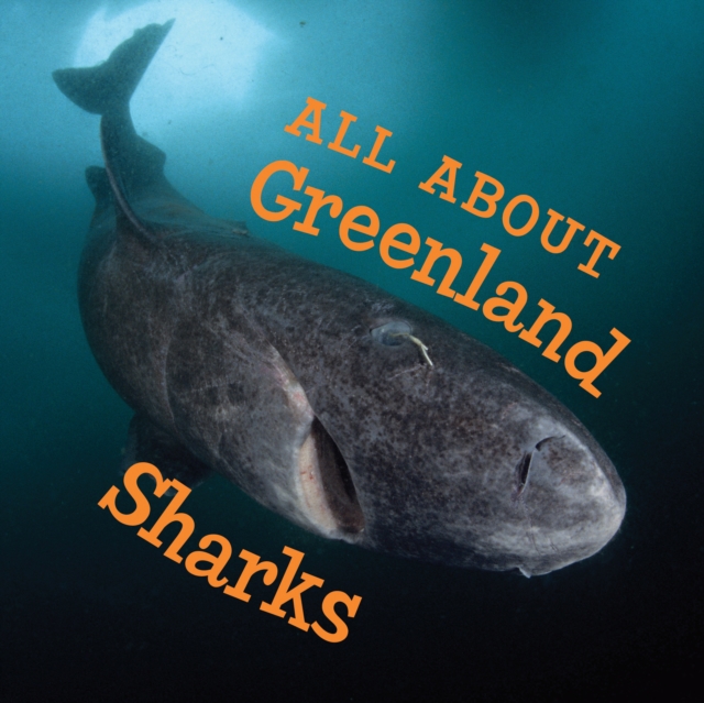 All About Greenland Sharks