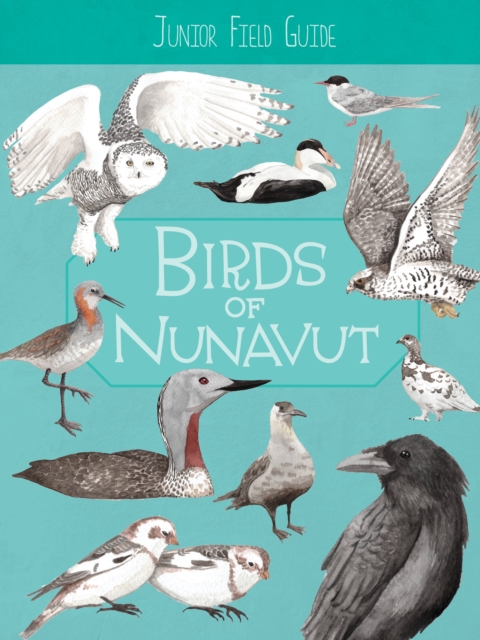 Junior Field Guide: Birds of Nunavut