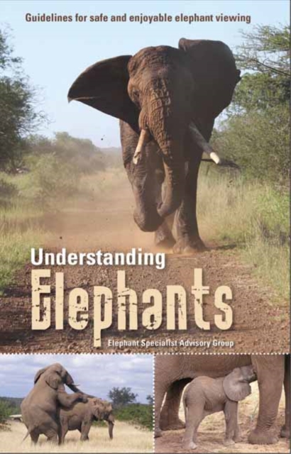 Understanding elephants