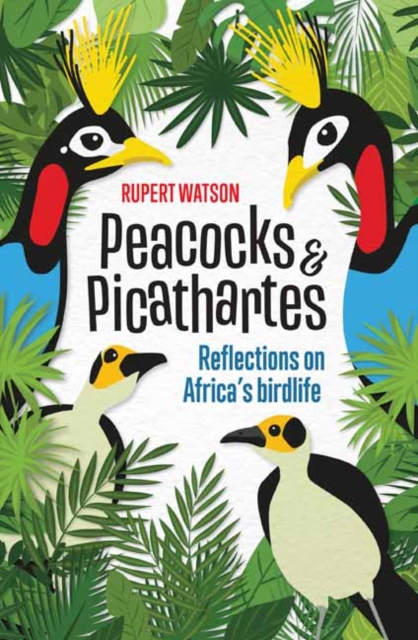 Peacocks and Picathartes