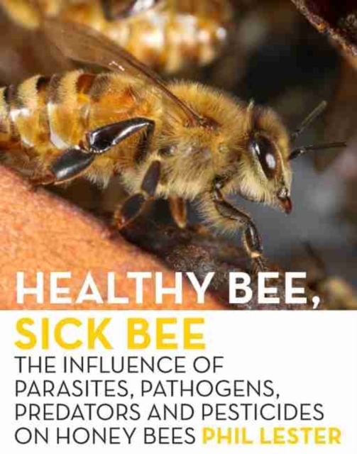 Healthy Bee, Sick Bee