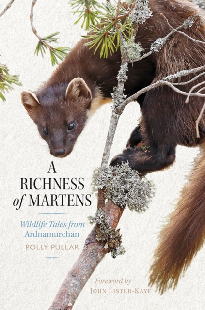 Richness of Martens