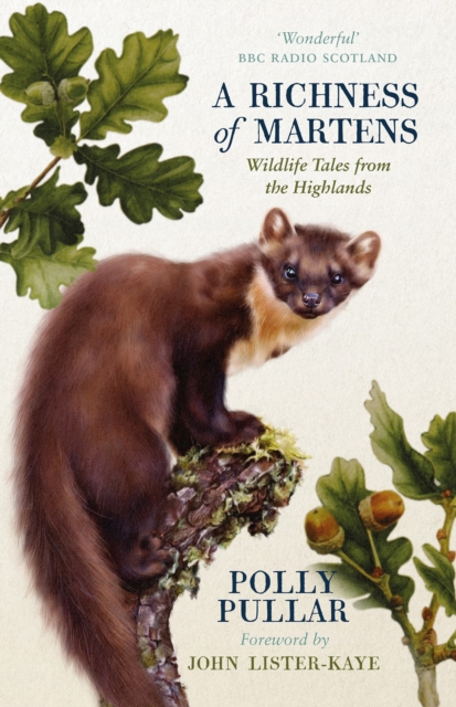 Richness of Martens