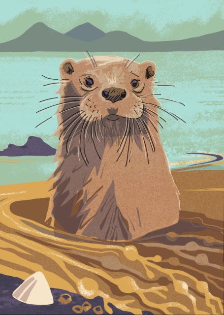 Nature Notebook: Otter