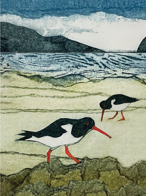 Wild Birds Pocket Notebook: Oystercatcher