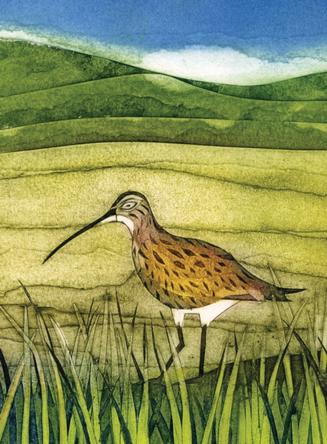 Wild Birds Pocket Notebook: Curlew