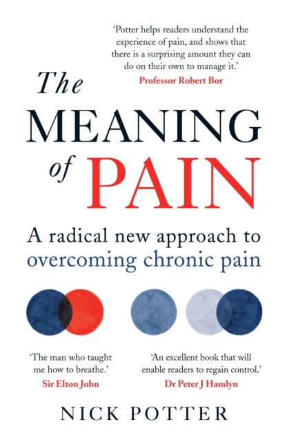 Meaning of Pain