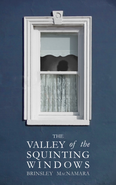 Valley of the Squinting Windows