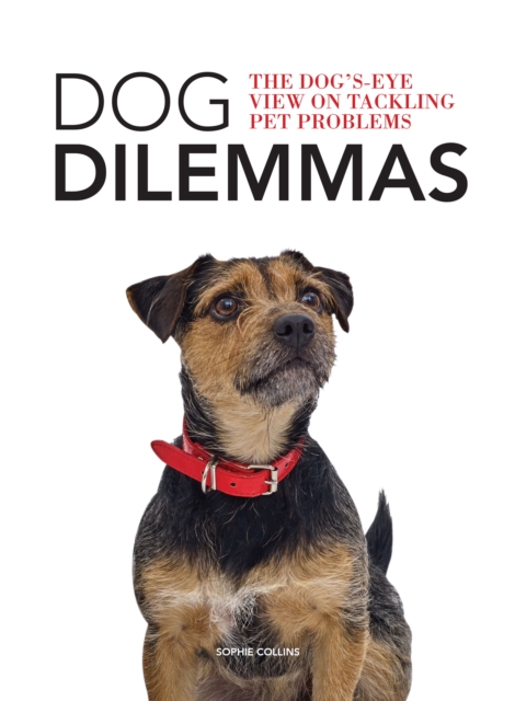 Dog Dilemmas: The Dog's-Eye View on Tackling Pet Problems