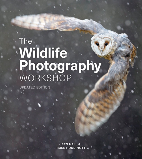 Wildlife Photography Workshop, The