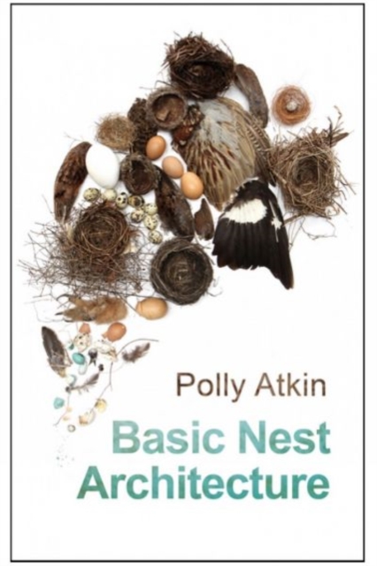 Basic Nest Architecture