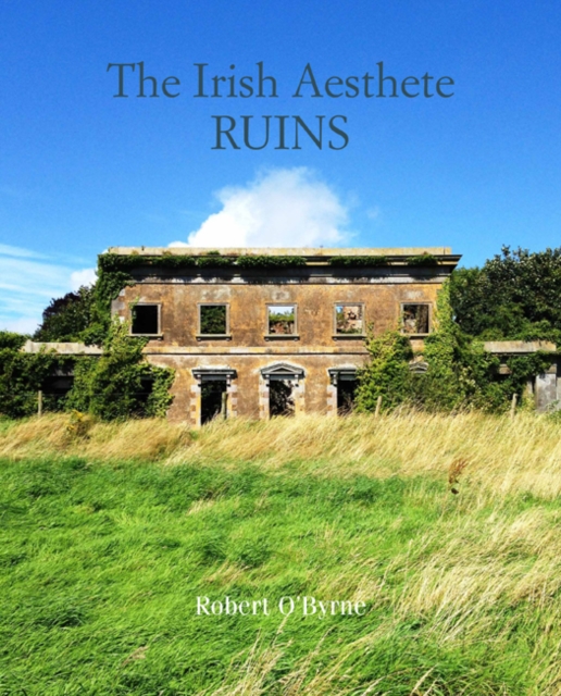 Irish Aesthete: Ruins of Ireland