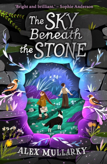 Sky Beneath the Stone