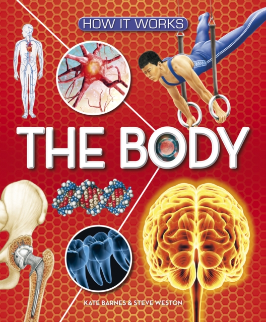 How It Works: The Body
