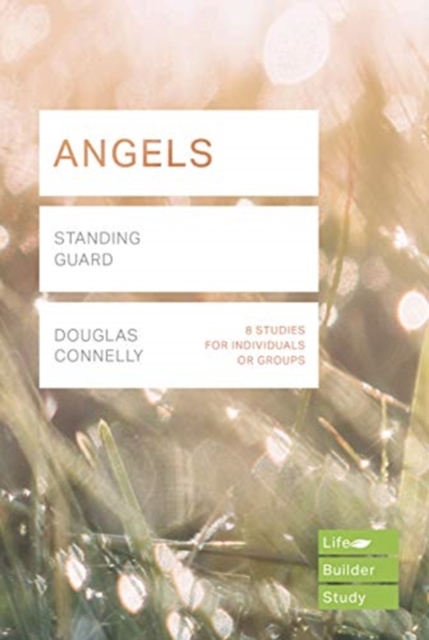 Angels (Lifebuilder Study Guides)