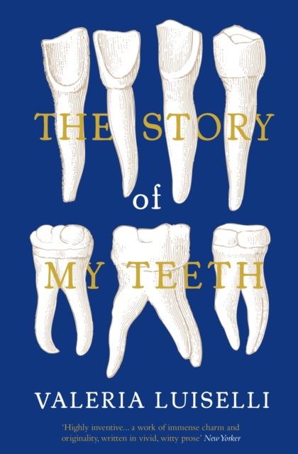 Story of My Teeth