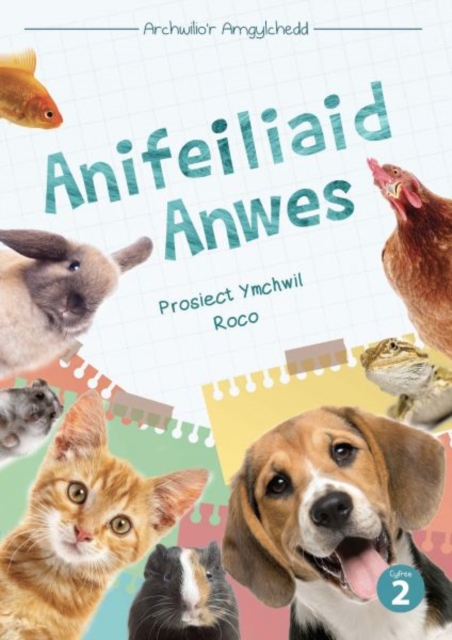 Cyfres Archwilio'r Amgylchedd: Anifeiliaid Anwes