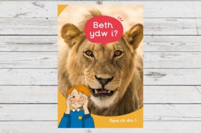 Dyna Chi Dric: Beth Ydw I?