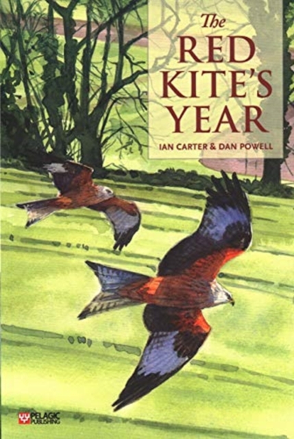 Red Kite's Year