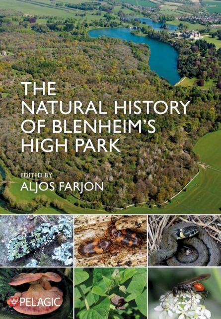 Natural History of Blenheim’s High Park