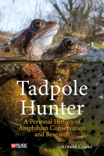 Tadpole Hunter