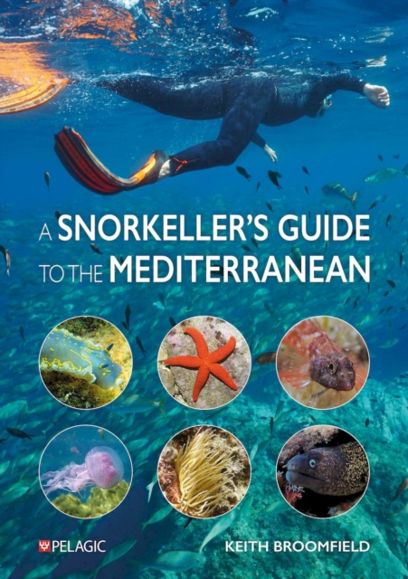 Snorkeller’s Guide to the Mediterranean